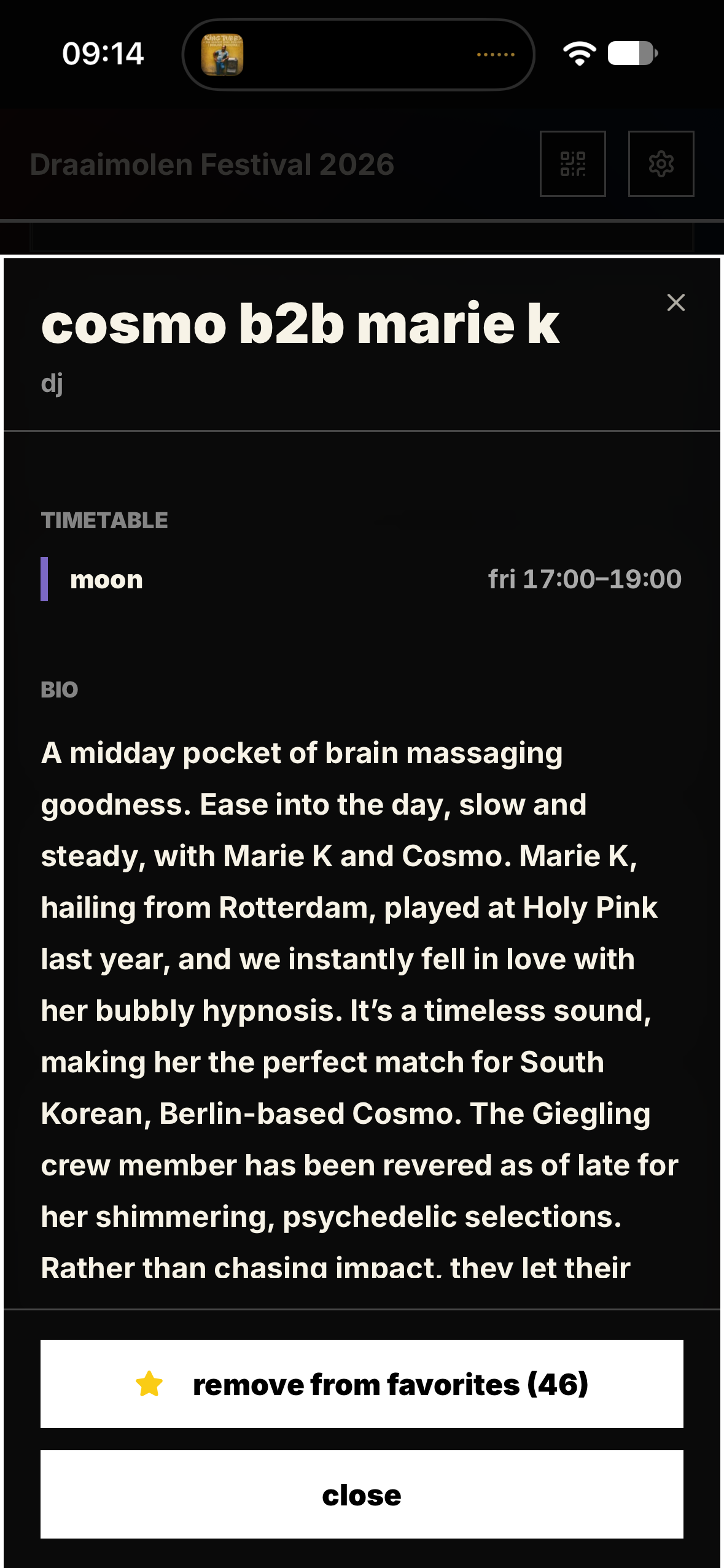 Draaimolen Festival artist detail with biography and set time.